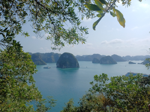 Ha Long Bay framed by trees from the top of Tip Top Island
