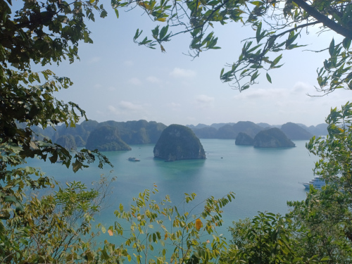 Panoramic view of Ha Long Bay from the summit of Tip Top Island
