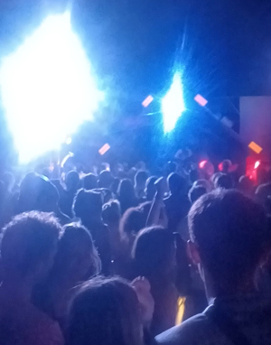 Crowd immersed in strobe lighting at a DnB party in Pai