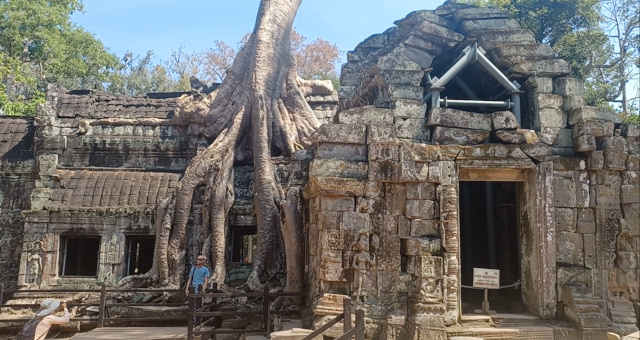 Angkor Thom with Tree from Tomb Raider Angkor Thom temple with a tree growing over the structure, featured in Tomb Raider