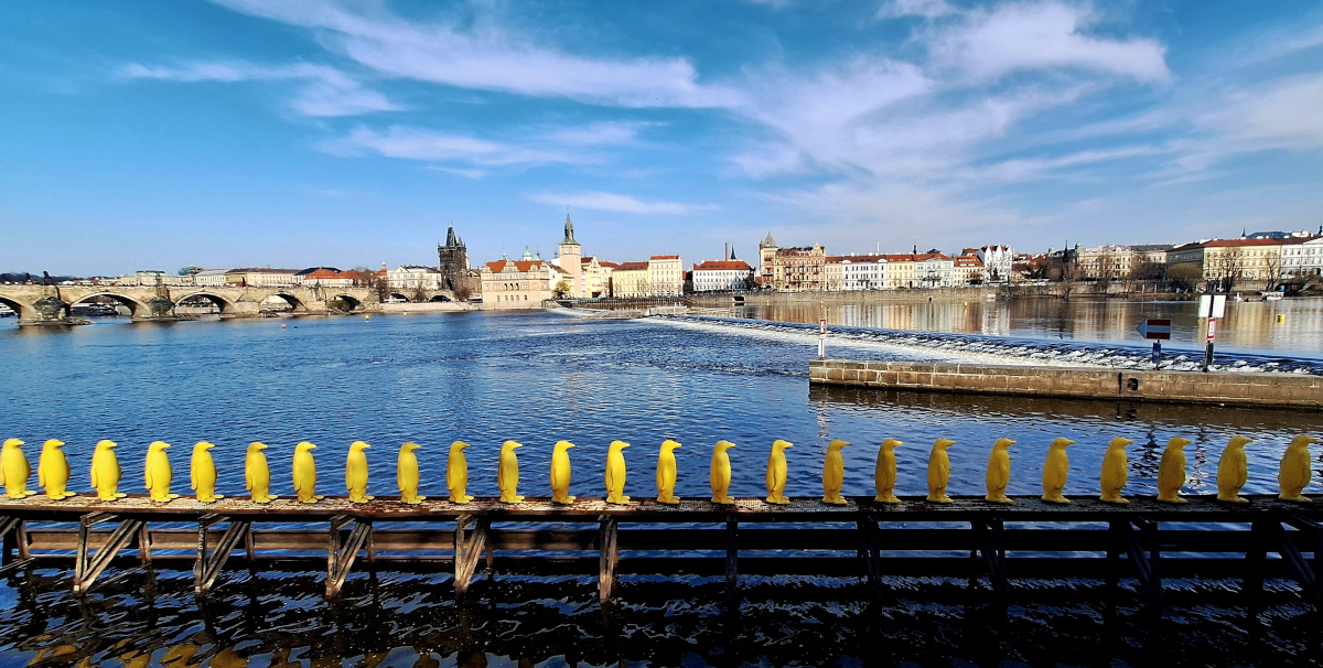 Yellow Penguins installation by Studio Azzurro along the Vltava River in Prague