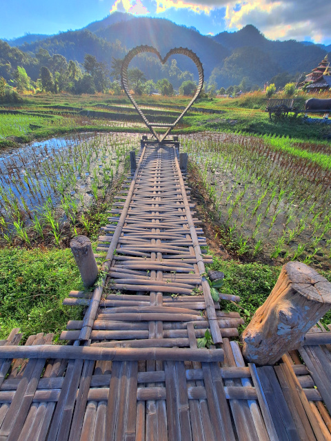 Bamboo Bridge leading to a large bamoo heart set against a mountain backdrop