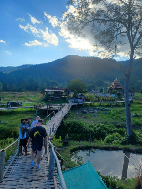 People walking along the bamboo bridge. Rice fields below.