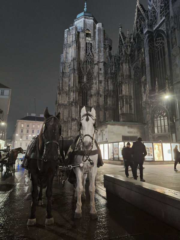 Dramatic Nighttime Horse-Drawn Cart in Vienna Nighttime photograph of a horse-drawn cart in Vienna, featuring one black horse and one white horse, set in a moody atmosphere