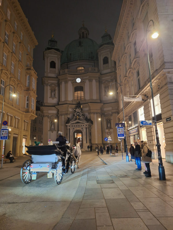 Horse-Drawn Carriage in Vienna Horse-drawn carriage in Vienna illuminated by street lamps, showcasing the grandeur of the city's architecture