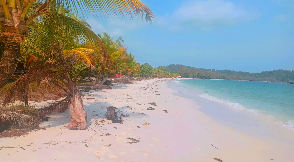 Idyllic Beach Scene in Koh Rong 4K beach view in Koh Rong featuring palm trees, white sand, clear waters, and a deep blue sky with fluffy clouds