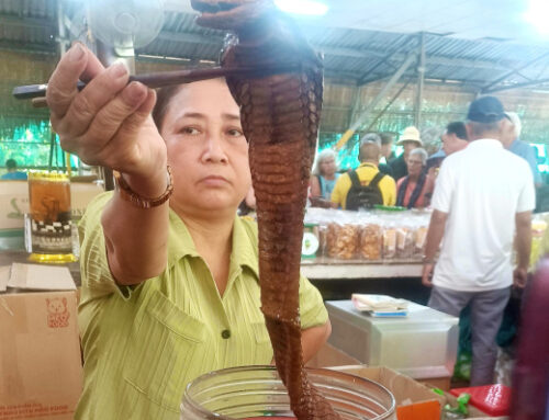 Mekong Delta Tour from Ho Chi Minh City